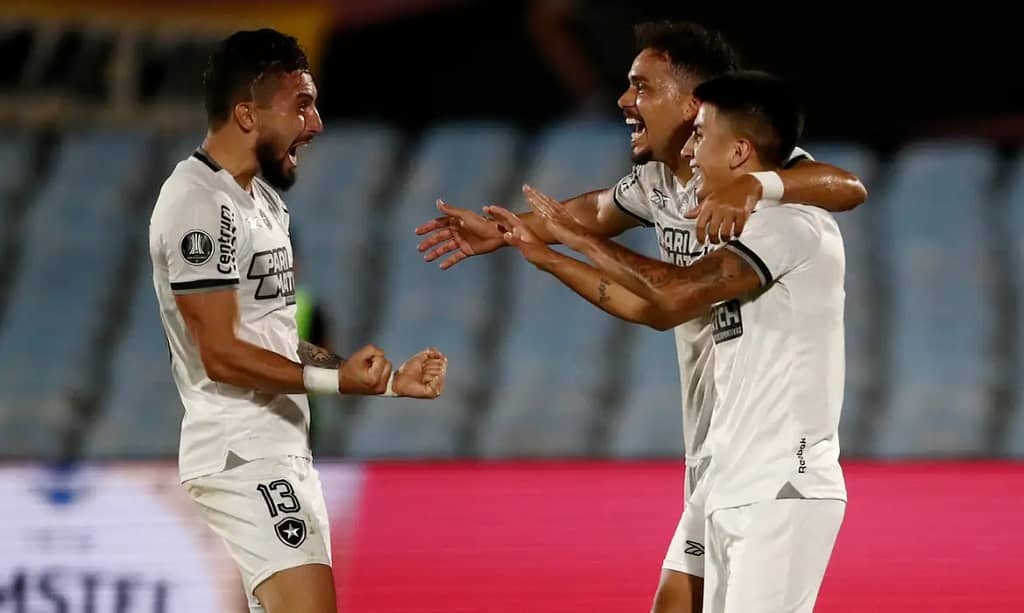 Botafogo na Final da Libertadores: Uma Conquista Histórica!