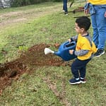 Guarulhos planta 300 árvores nativas em área degradada de Cumbica - 29/03