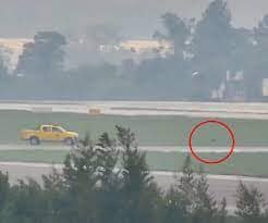 Cachorro Invade Pista do Aeroporto de Guarulhos e Atrasa Voos