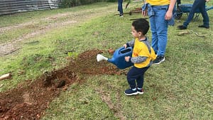 Guarulhos planta 300 árvores nativas em área degradada de Cumbica - 29/03