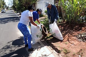 1. São Paulo em Estado de Emergência: Combate à Dengue é Prioridade