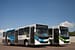 Guarulhos: Ônibus